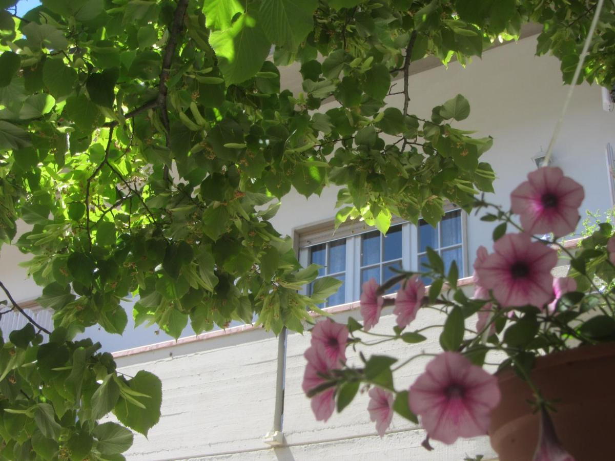 B&B Il Country E Il Mare Martinsicuro Dış mekan fotoğraf